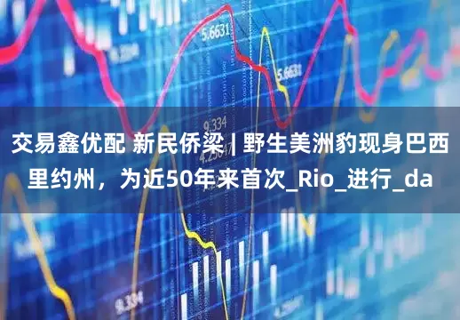 交易鑫优配 新民侨梁 | 野生美洲豹现身巴西里约州，为近50年来首次_Rio_进行_da