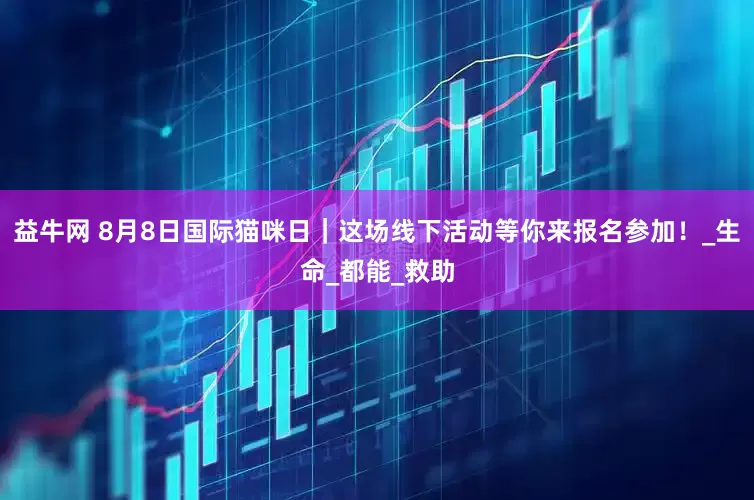 益牛网 8月8日国际猫咪日｜这场线下活动等你来报名参加！_生命_都能_救助